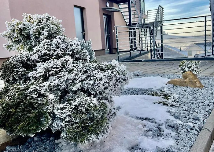 Apartament Panorama Park - Hike, & Relax Vlkova